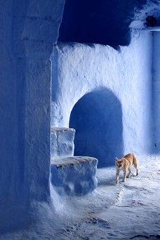 Hammamet Fort Vestibule