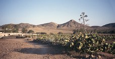 Almeria Hills